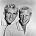 Jan & Dean - Photo of Jan & Dean