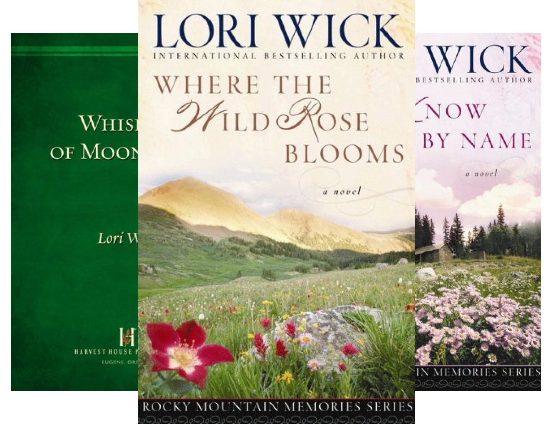 Rocky Mountain Memories (4 Book Series)