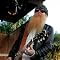 Billy Gibbons