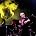 36 Crazyfists - Atreyu And 36 Crazyfists Play At Brixton Academy