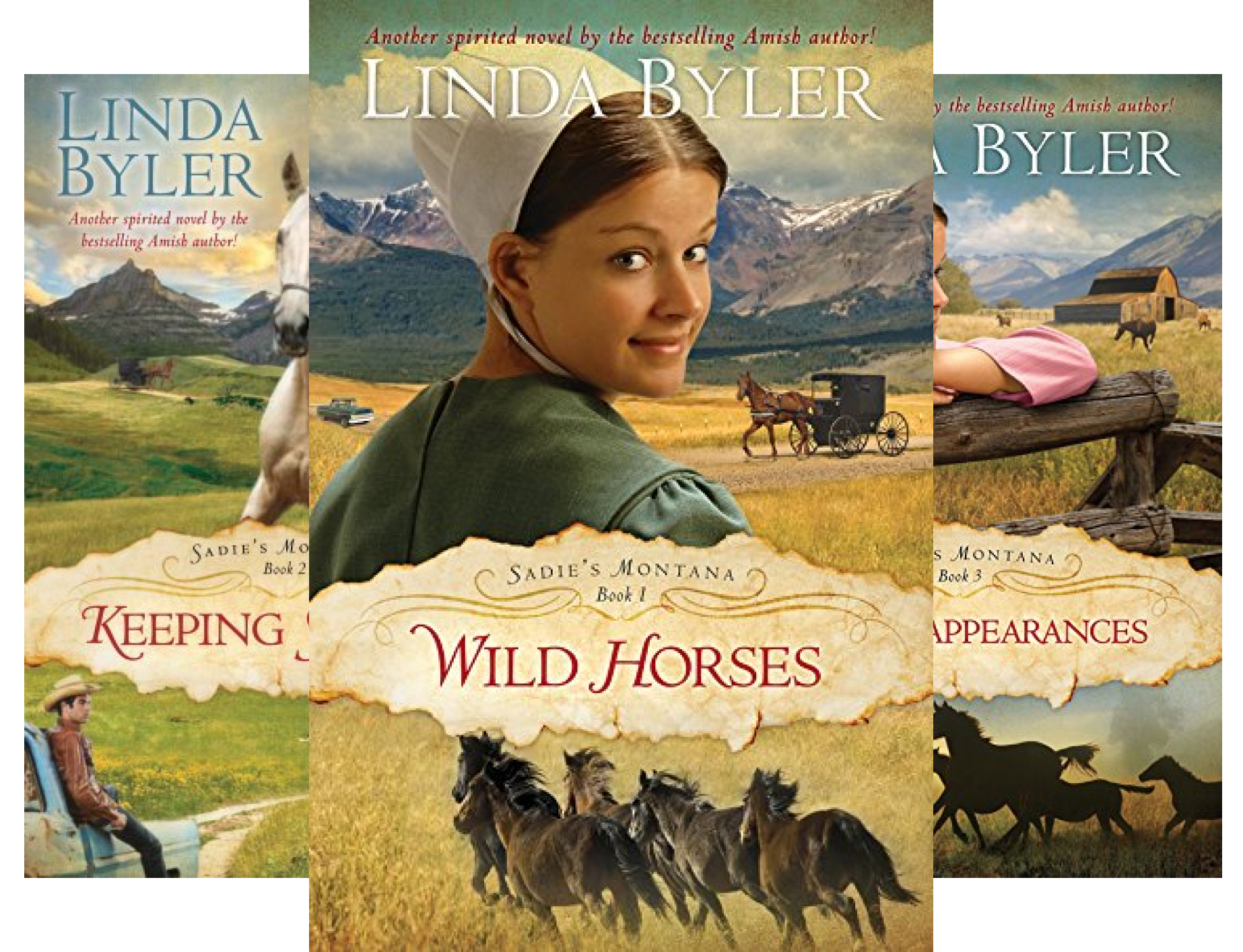 Sadie's Montana (3 Book Series)