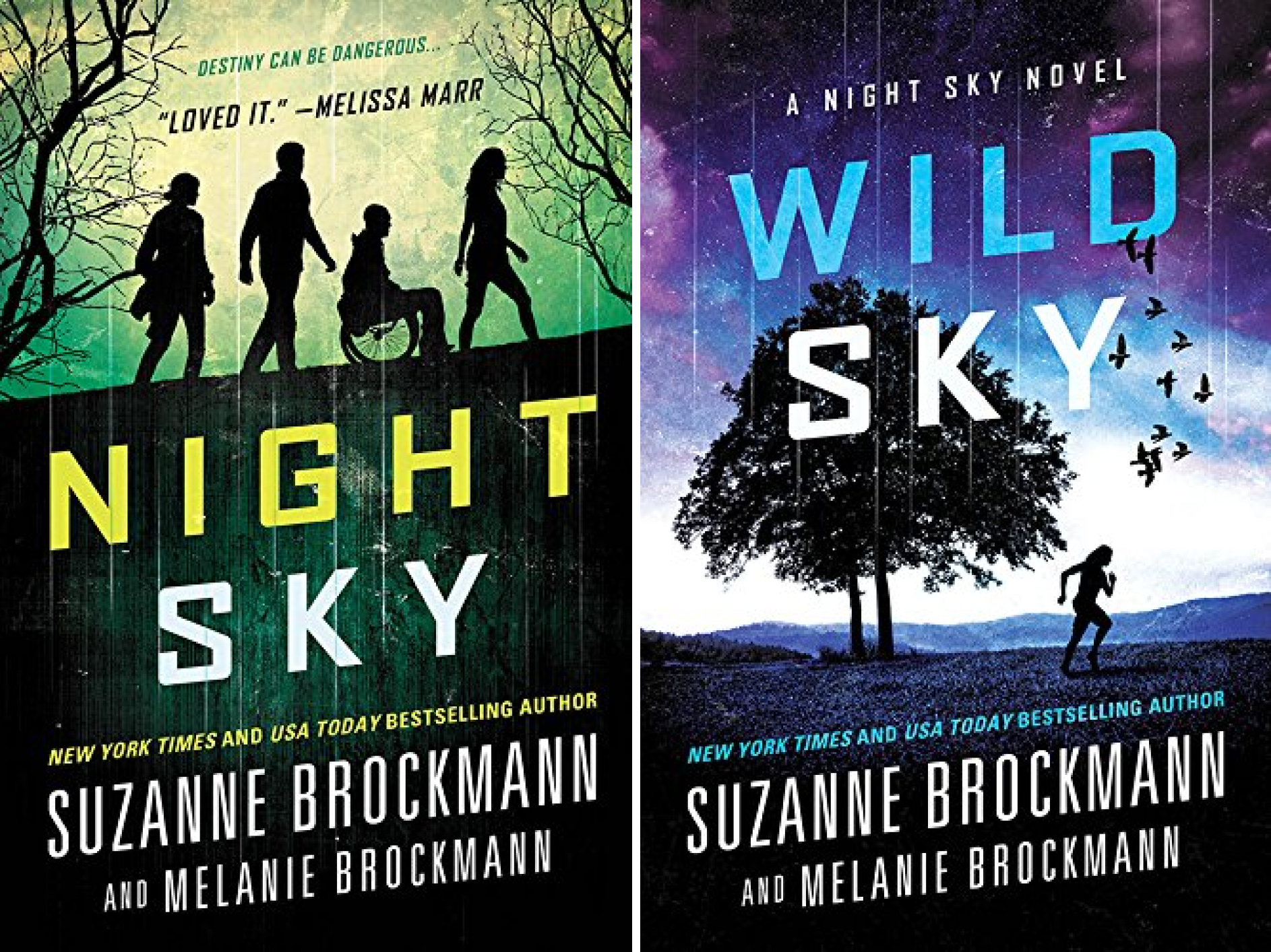 Night Sky Series (2 Book Series)