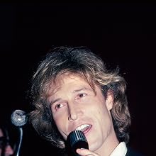 Andy Gibb - Andy Gibb