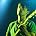 Nick McCarthy - UK: Franz Ferdinand Play The Astoria