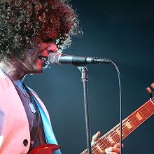 Andrew Stockdale - Falls Festival