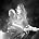 Ace Frehley - Photo of Frehley Ace