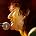 Ronnie Wood