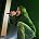 Scott Stapp - Scott Stapp Performs At The Joint In Las Vegas