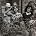 The Slits - The Slits Photoshoot