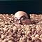 Allan Sherman