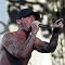 Limp Bizkit