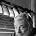 Stephen Sondheim - Stephen Sondheim