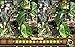 Hidden Objects Quest 17: Jungle Adventure