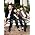 Thumbnail image of Lady Antebellum