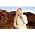 Thumbnail image of Lissie
