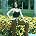 Anni-Frid Lyngstad - Photo of Abba