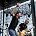 Rise Against - KROQ Weenie Roast Y Fiesta 2008
