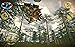 Carnivores: Dinosaur Hunter HD
