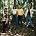 Bachman-Turner Overdrive - Photo of Bachman Turner Overdrive