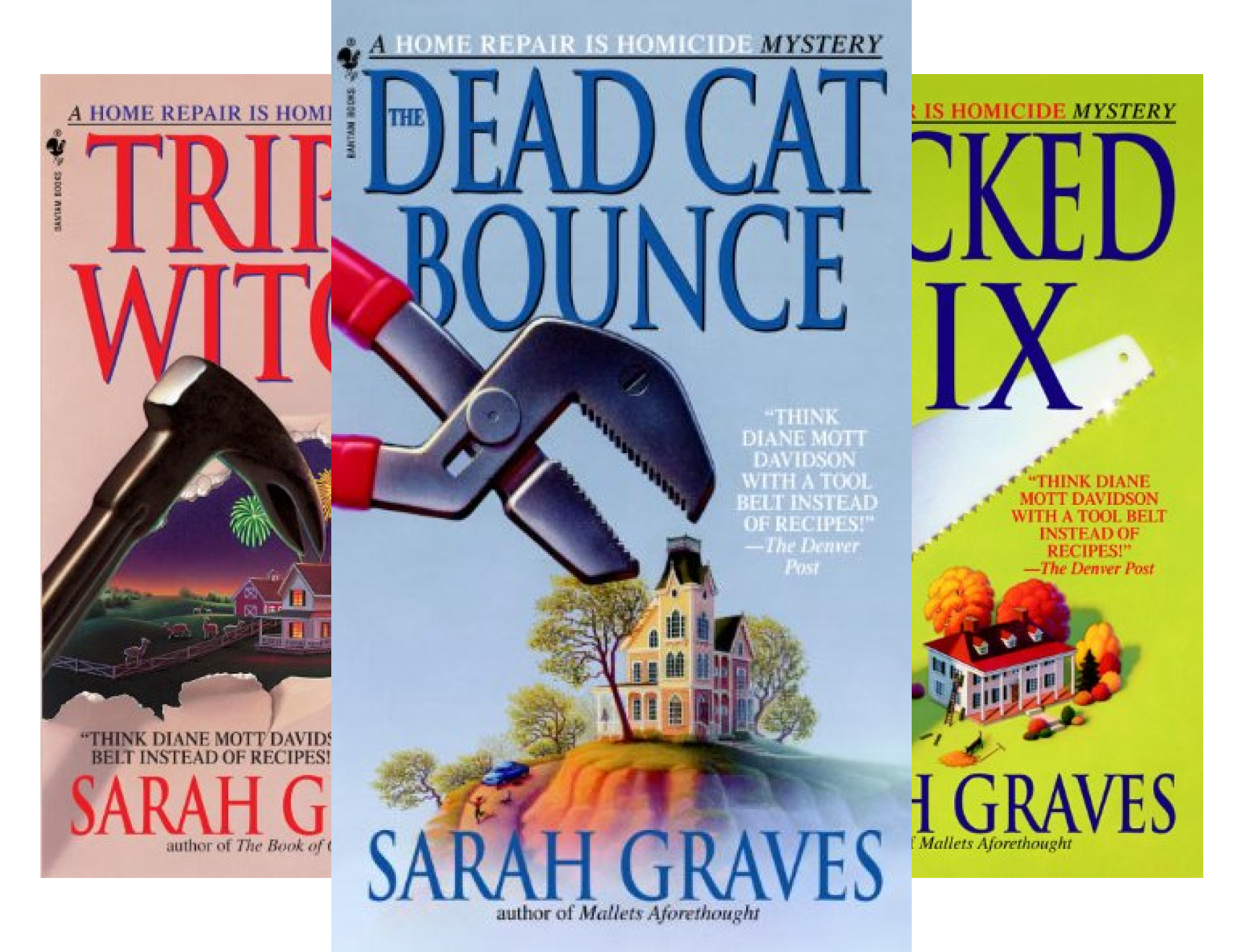 Home Repair is Homicide (16 Book Series)