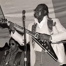 Albert King - Photo of Albert King