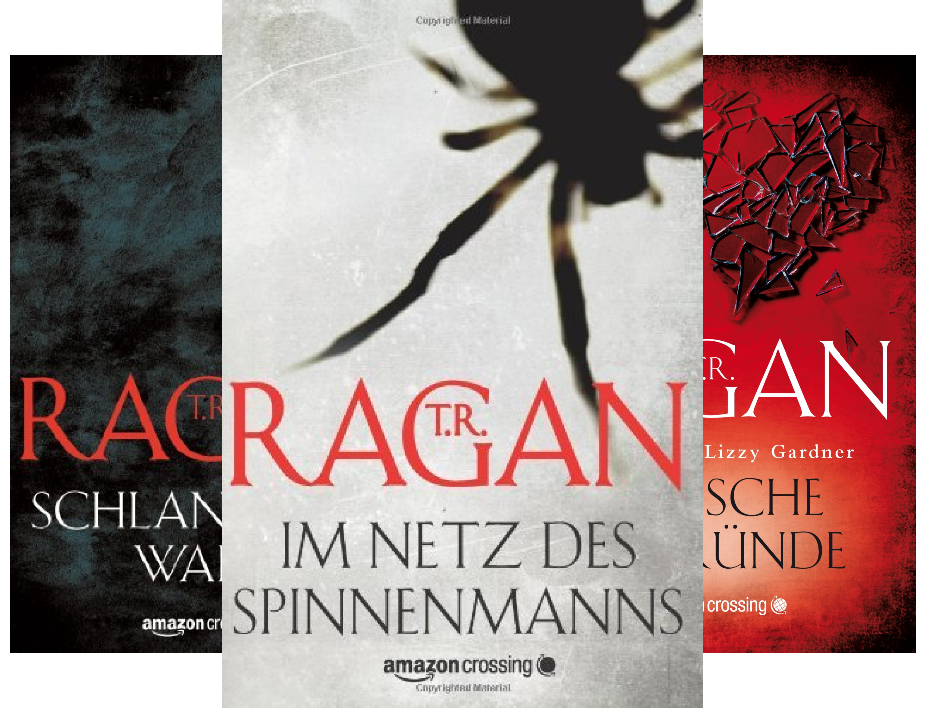 Ein Fall für Lizzy Gardner (Reihe in 3 Bänden)