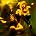 The Cramps - The Cramps Portrait Session