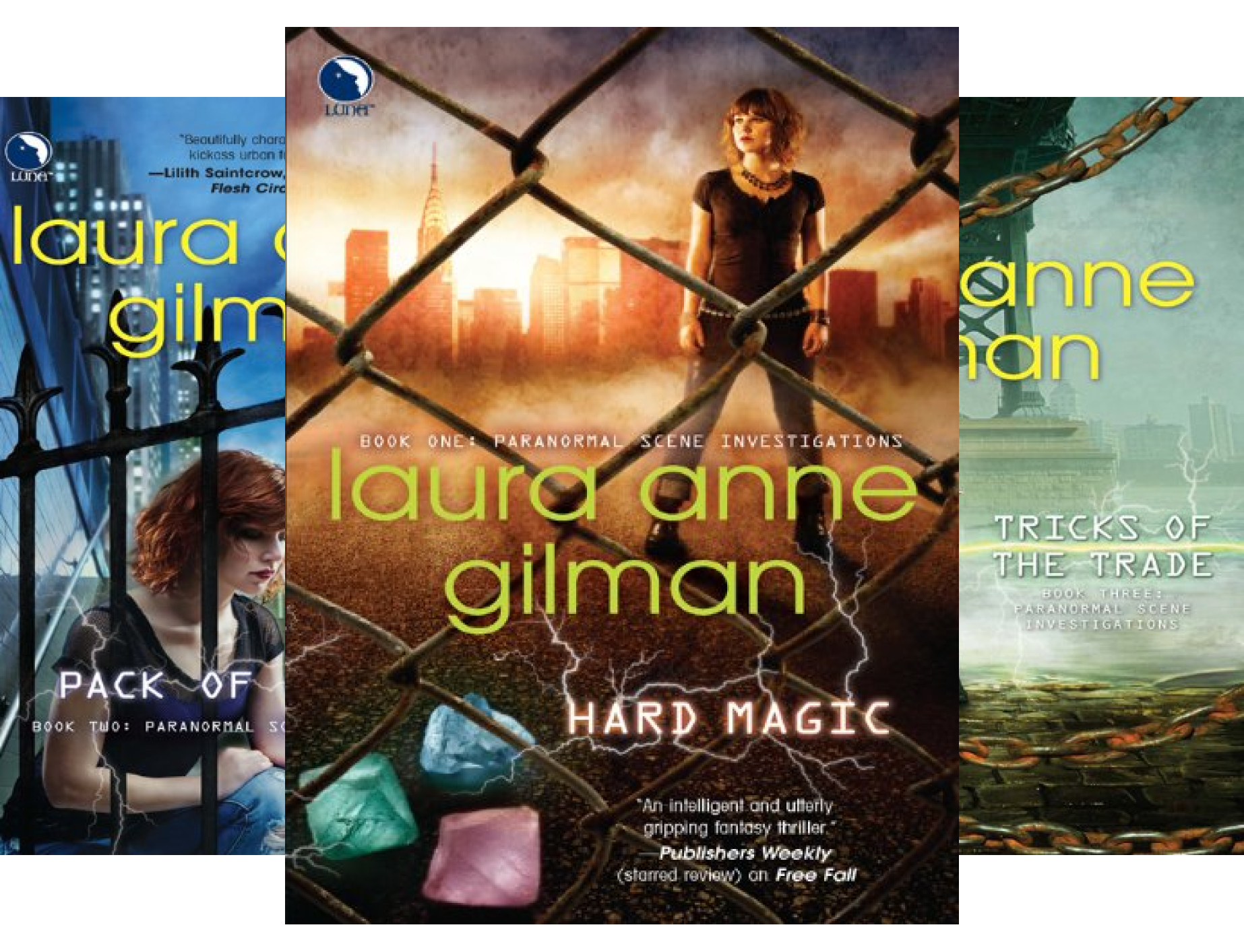 Paranormal Scene Investigations (4 Book Series)