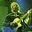Chad Kroeger - Conde Nast Media Group Hosts Santana Evening to  Benefit Milagro Foundation