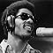 Stevie Wonder
