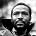 Marvin Gaye - Photo of Marvin Gaye
