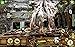 Hidden Objects Quest 17: Jungle Adventure