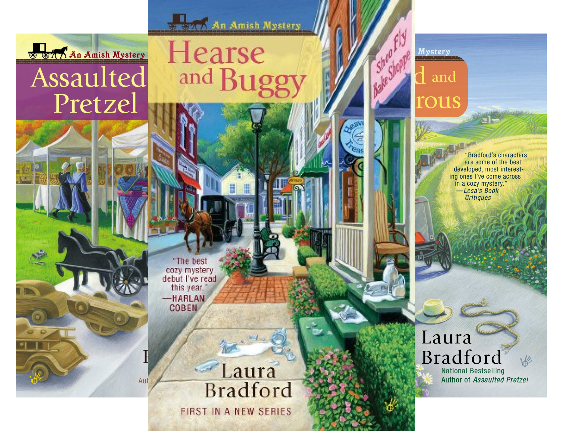 An Amish Mystery (5 Book Series)