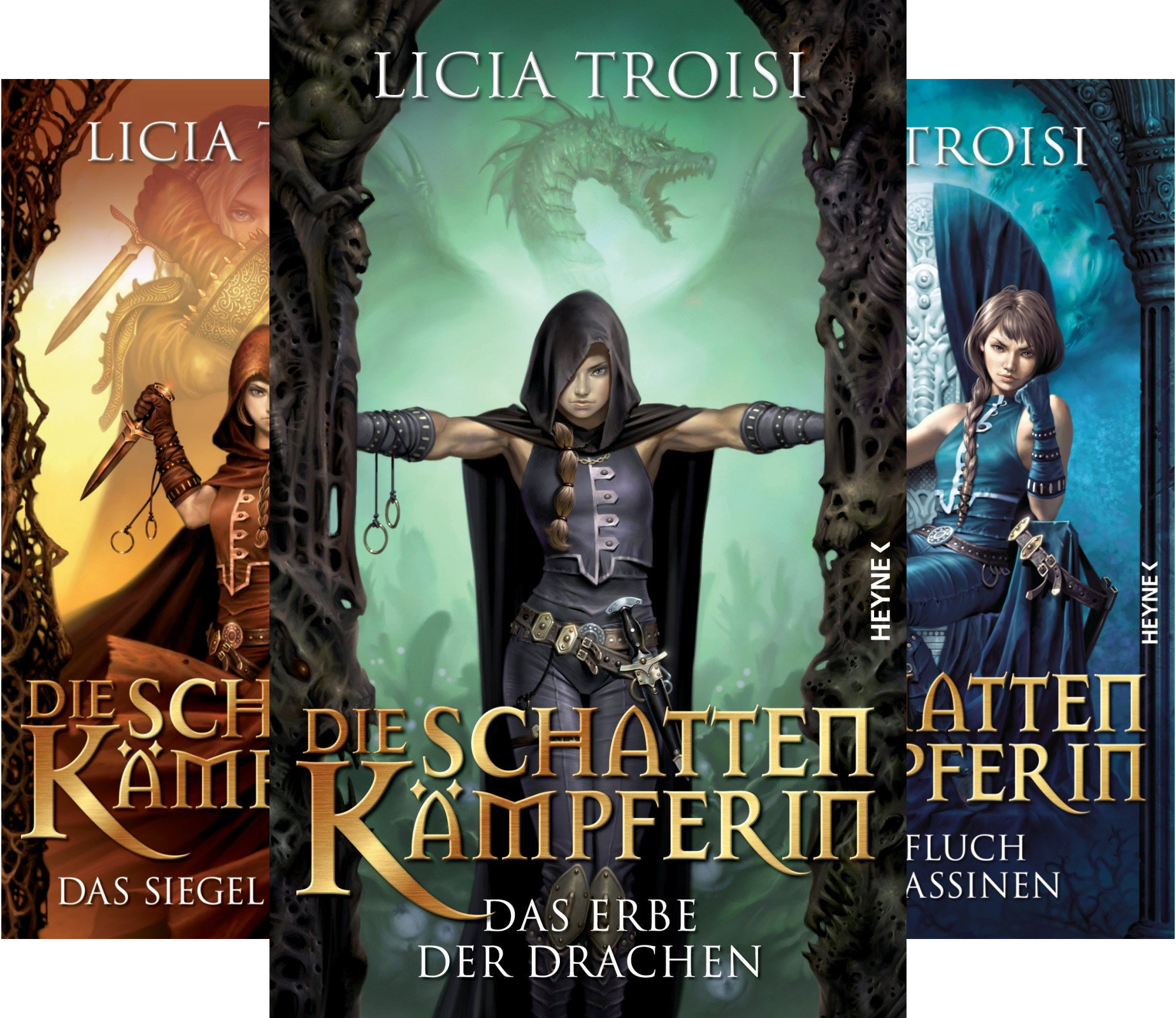 Die Schattenkämpferin (Reihe in 3 Bänden)