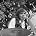 Karen Carpenter - Karen Carpenter On 'Ed Sullivan Show'