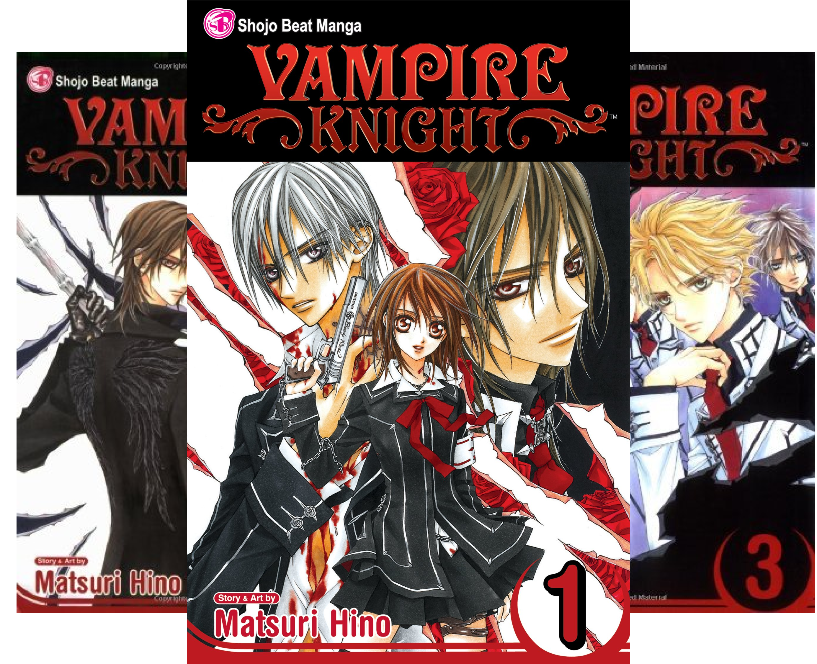 Vampire Knight Box Set Volumes 1-10 (10 Book Series)