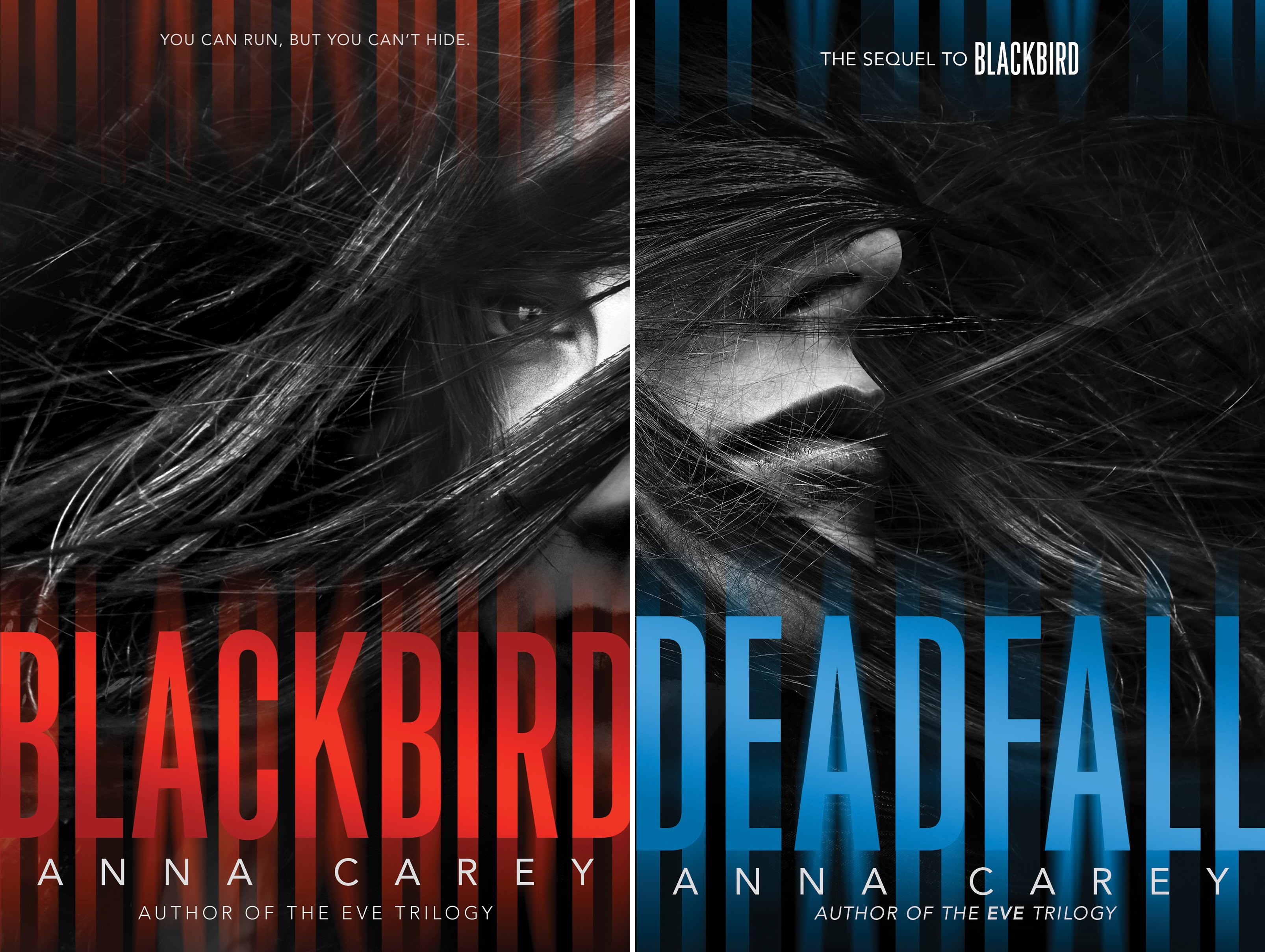Blackbird (2 Book Series)