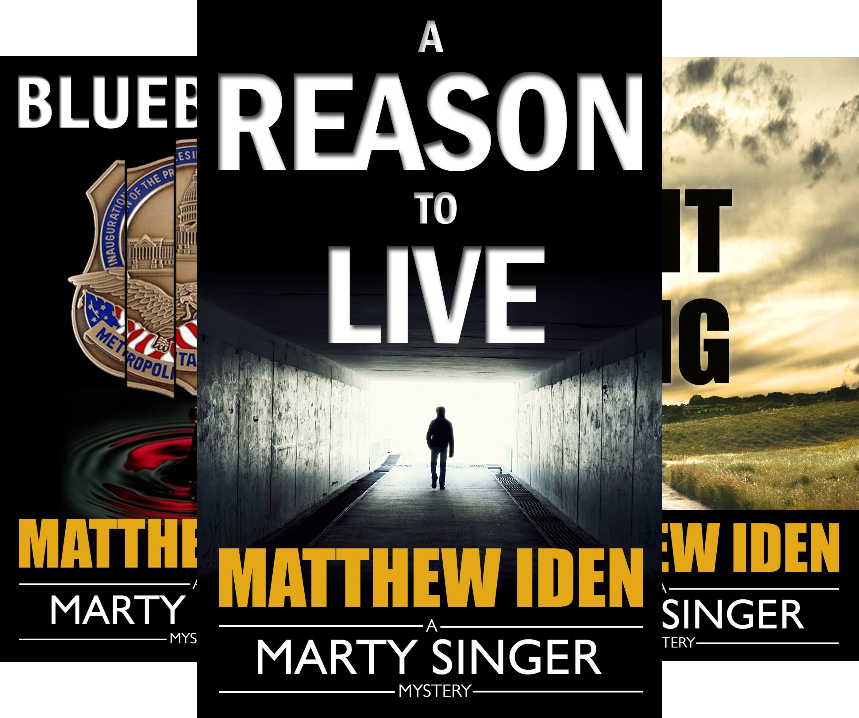A Marty Singer Mystery (6 Book Series)