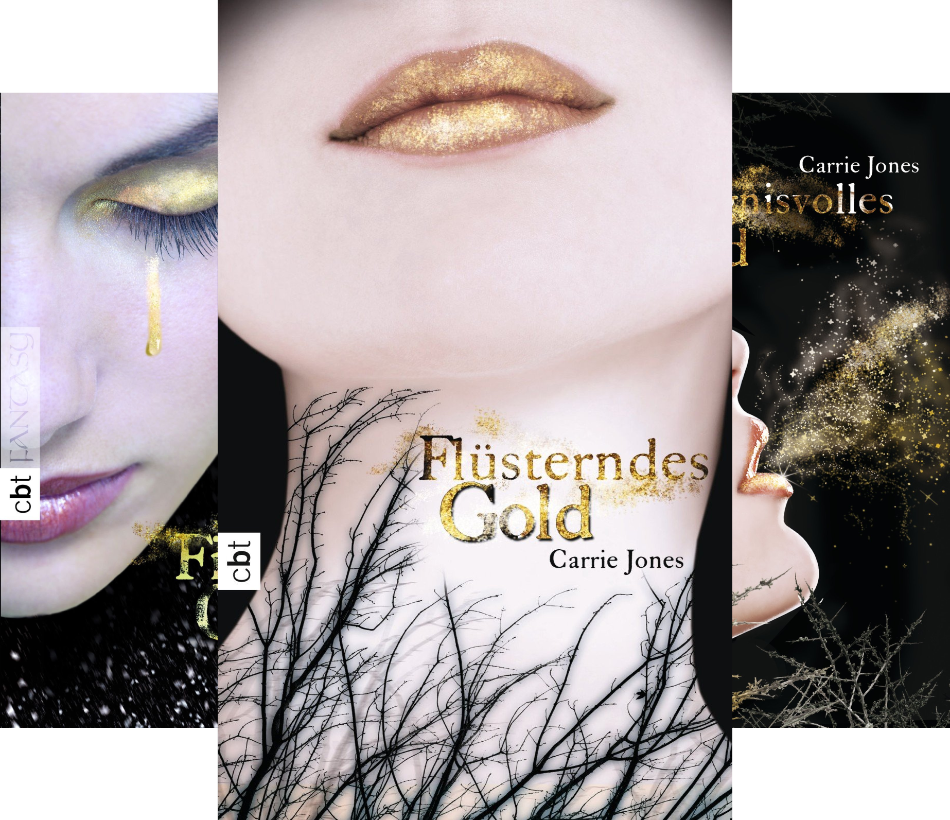 Die Elfen-Serie (Reihe in 4 Bänden)