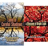 a jimmy vega mystery 2 book series