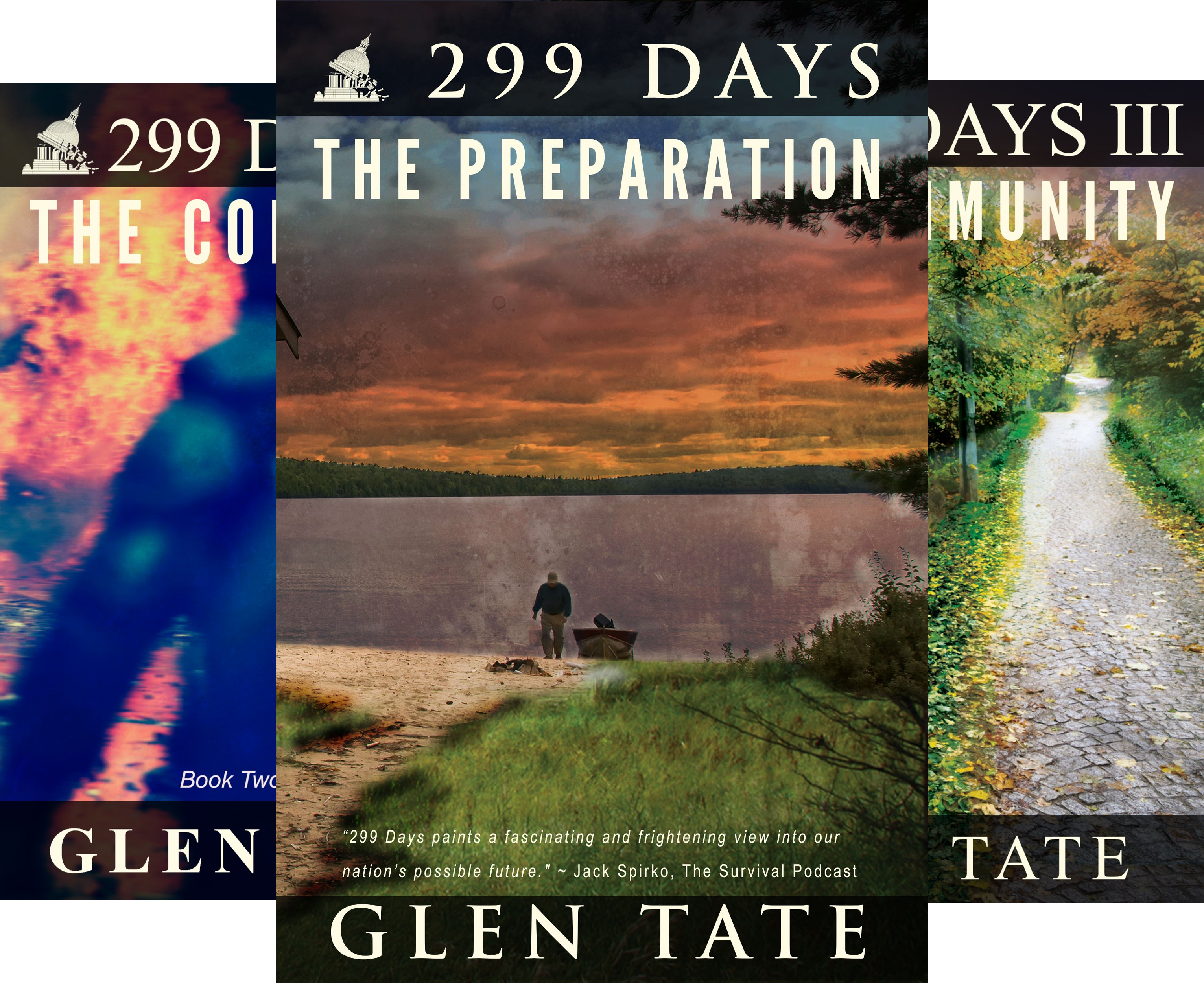 299 Days (10 Book Series)