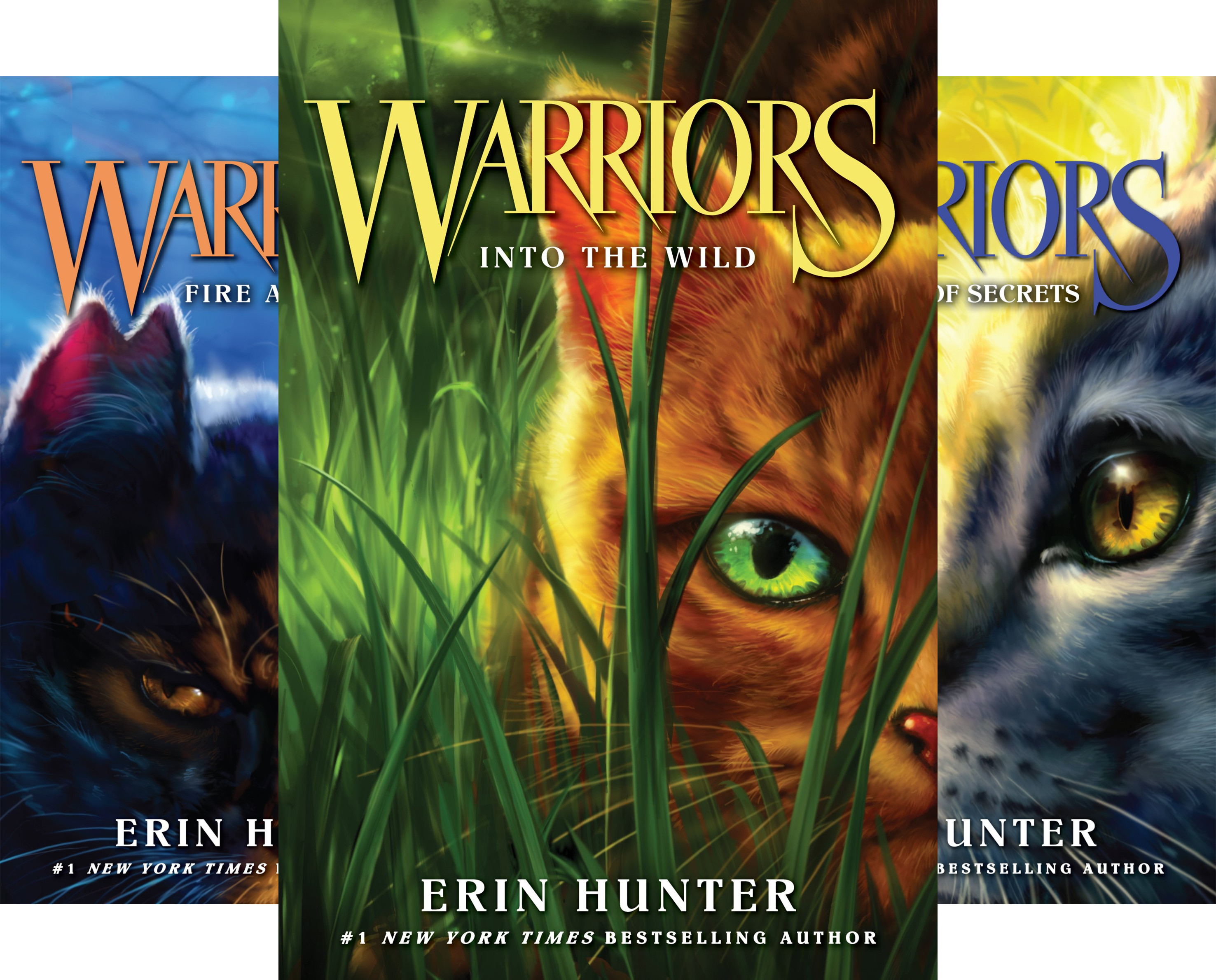 Download Warriors - The Prophecies Begin (6 Book Series) Download Warriors - The Prophecies Begin (6 Book Series)