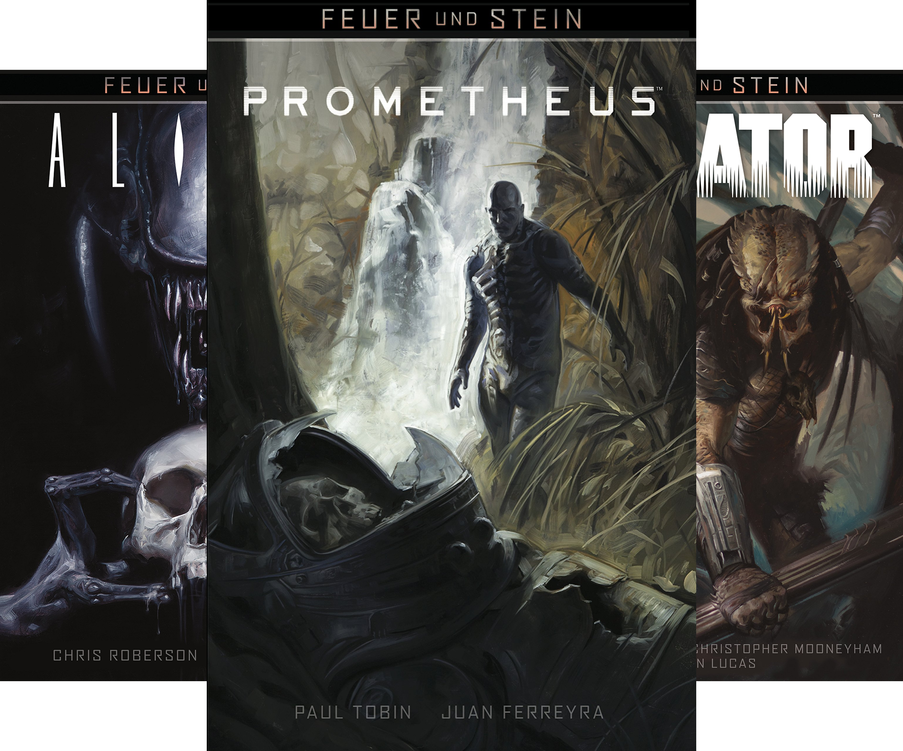 Feuer Und Stein (Reihe in 3 Bänden)