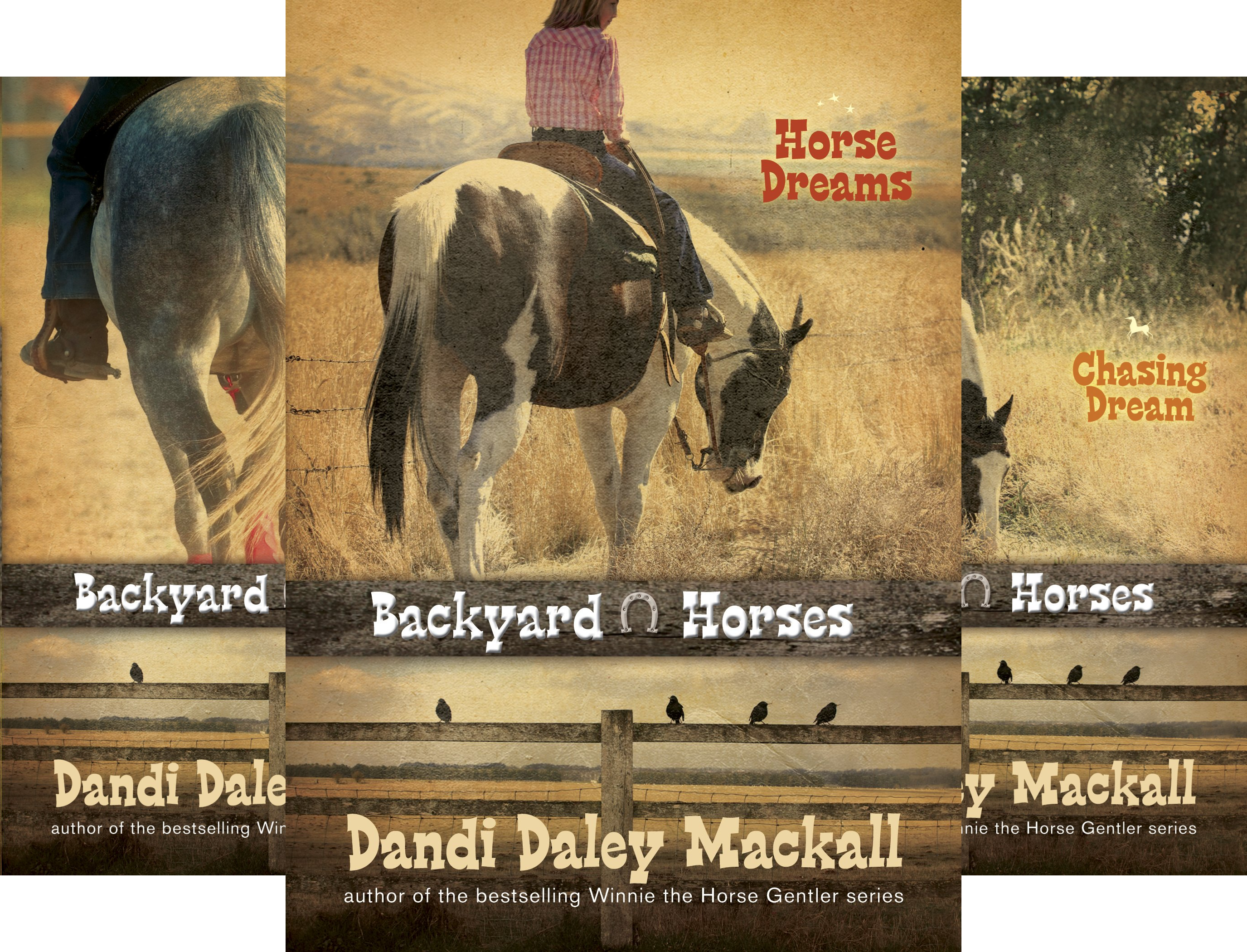 Backyard Horses (4 Book Series)
