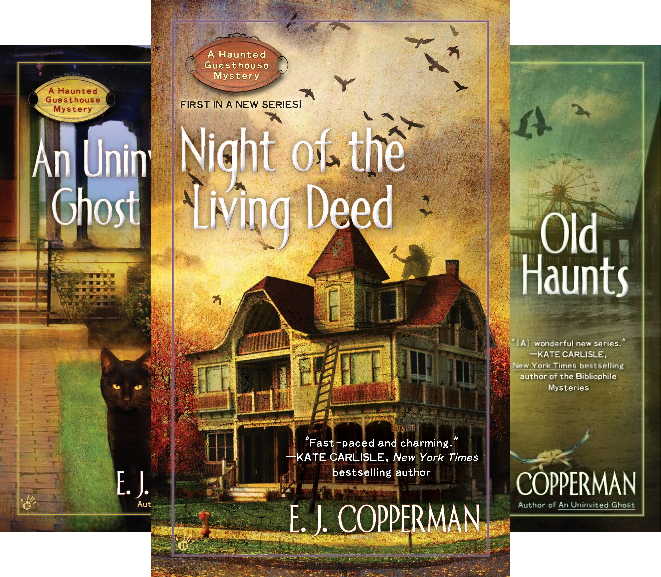 A Haunted Guesthouse Mystery (6 Book Series)