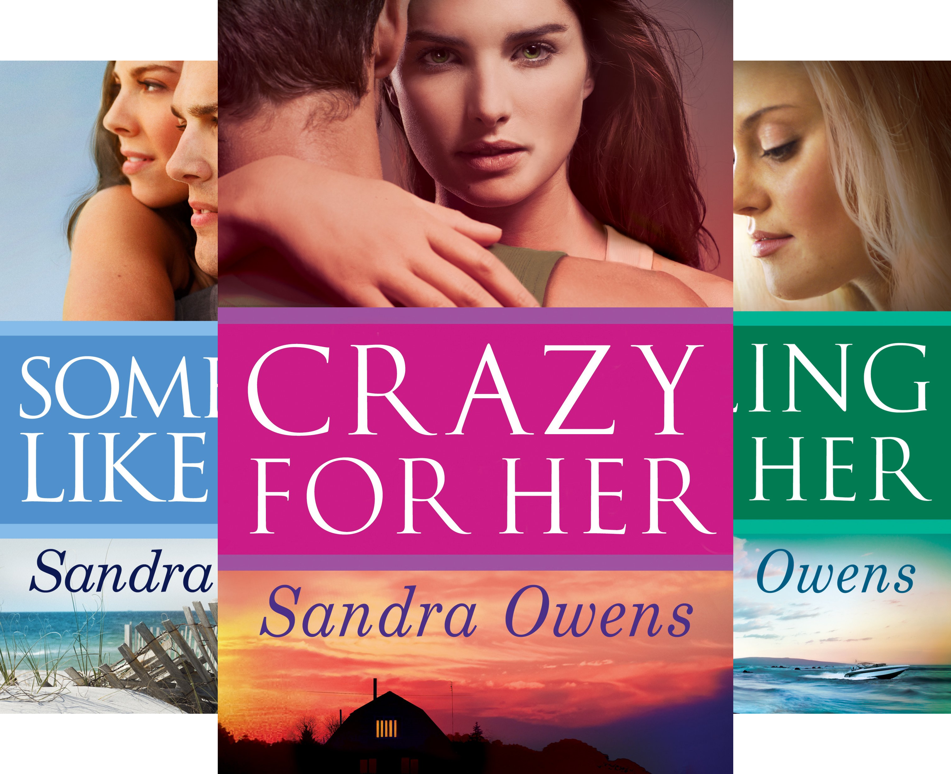 a k2 team novel 4 book series