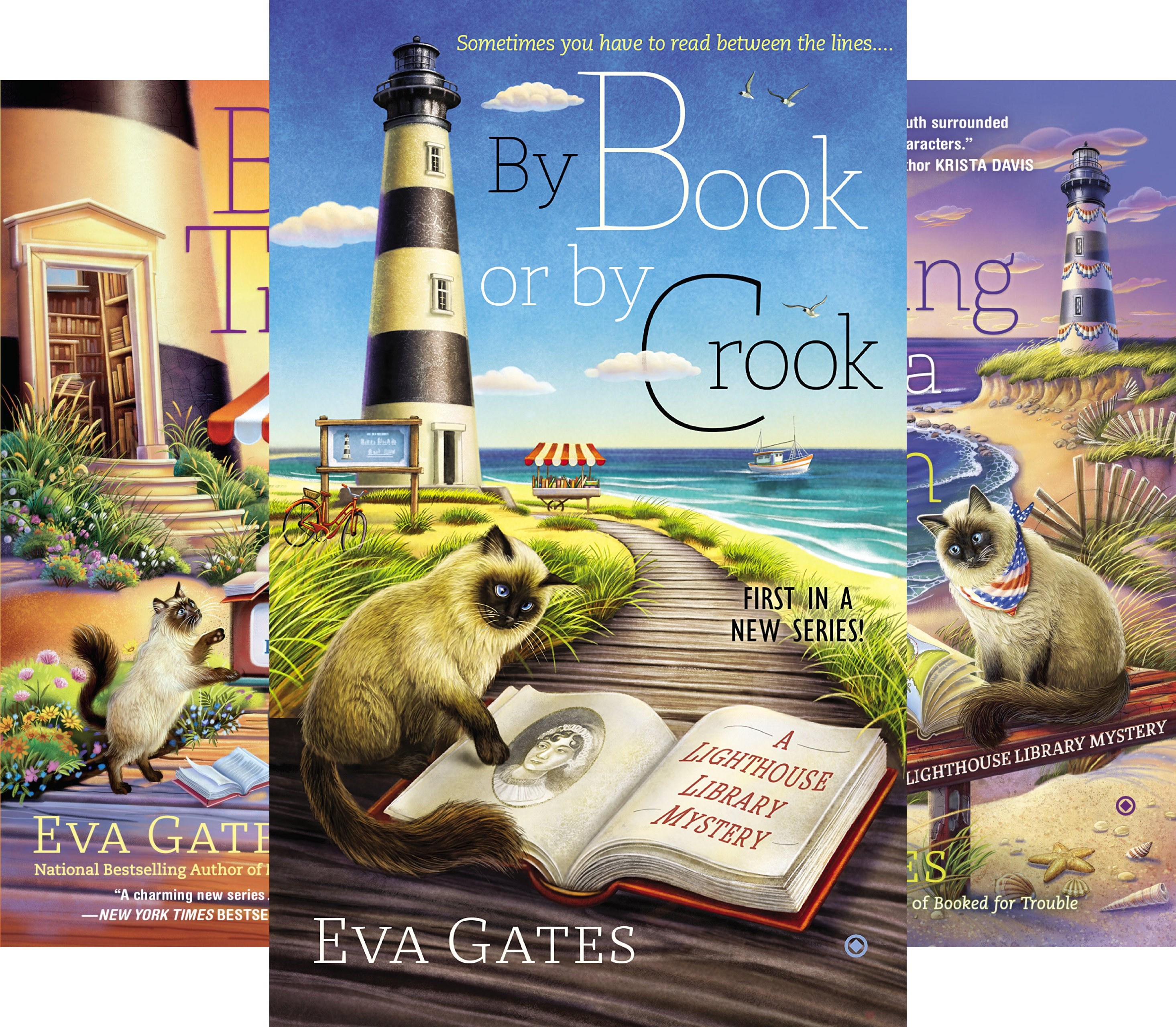 A Lighthouse Library Mystery (3 Book Series)
