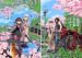 [まとめ買い] 道割草物語（メテオCOMICS）