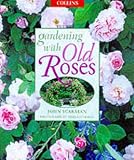 Scarman, John: Gardening With Old Roses