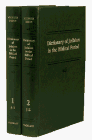 Dictionary of Judaism in the Biblical Period: 450 B.C.E. to 600 C.E. (0028972929) by Neusner, Jacob Neusner, Jacob: Dictionary of Judaism in the Biblical Period: 450 B.C.E. to 600 C.E.